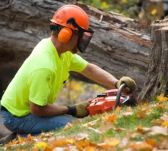 tree services Crow Agency